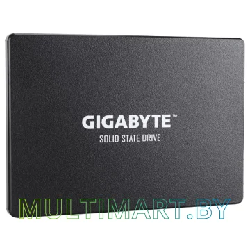 SSD диск Gigabyte 480GB (GP-GSTFS31480GNTD)